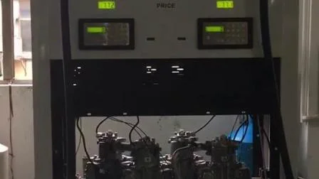 Rt-B224 Fuel Dispenser with IC Card Management System